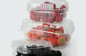 Фотографија за категорија Садови со висок капак